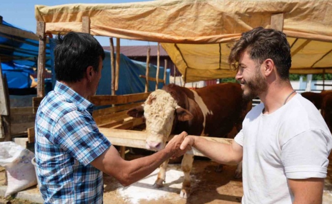 Kurban pazarlarına ‘yurt dışı’ etkisi