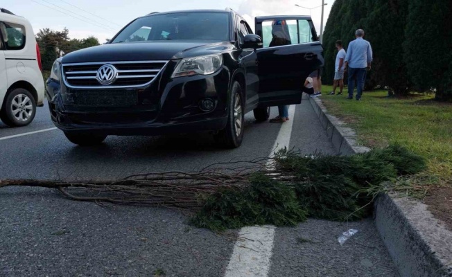 Yaralamalı kaza sonrası yola konulan dal zincirleme kazaya neden oldu