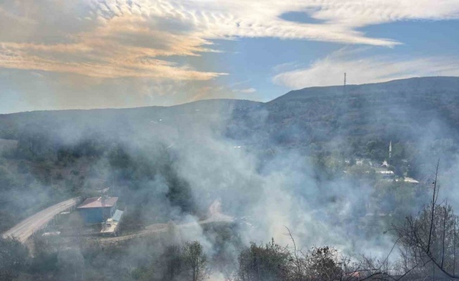 Samsun’da örtü yangını korkuttu