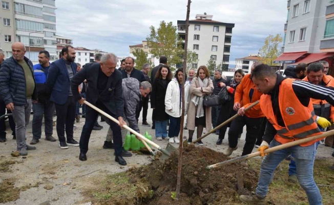 Atakum’da fidan dikim etkinliği