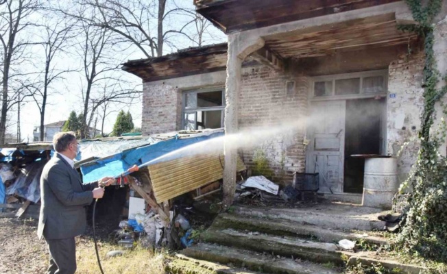 Belediye başkanı kolları sıvayıp, kahverengi kokarca ilaçlamasına katıldı