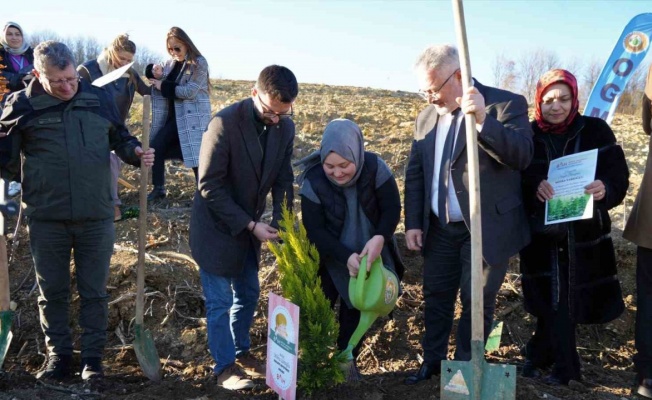 Her bebek bir fidan: Yeni doğan bebekler adına fidan diktiler