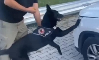 Samsun’da narkotik dedektör köpeği 1 kilo metamfetamini buldu