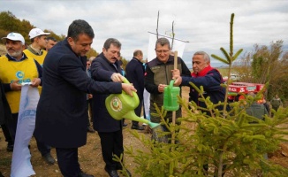 Samsun’da ’Milli Ağaçlandırma Günü’nde 100 bin fidan toprakla buluştu